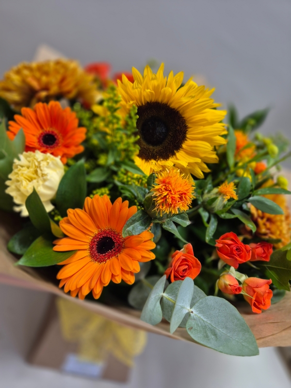 Vibrant Autumn Vibes