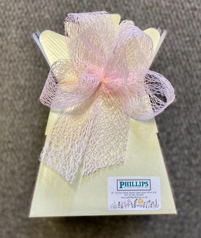 Aqua Flower Box