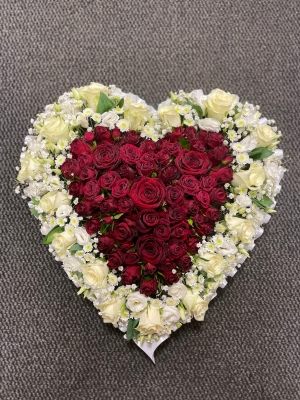 Heart of Love